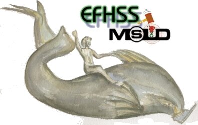 Annual EFHSS and MSÜD Conference 2004...
