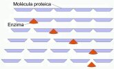 El ciclo del producto sanitario estéril - Limpieza: Figure 34