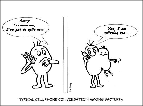 Cartoon 52 - Talking Bacteria