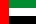 United Arab Emirates: NPPG - Nurse Professional Practice Group CSSD